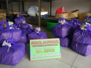 Telur Jangkrik Murah Kualitas Unggul