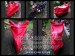 Cover Motor Bagus
