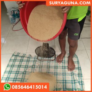 JUAL TELUR JANGKRIK SURYAGUNA 085646415014