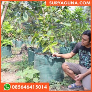 PLANTER BAG SURYA GUNA 085646415014