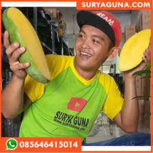 Entres Mangga SURYAGUNA 085646415014